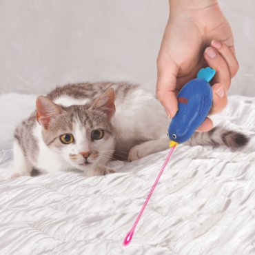 Why Laser Toys Can Be Bad News for Your Pet