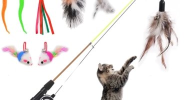 Cat Toys: Interactive Toys for Cats & Kittens