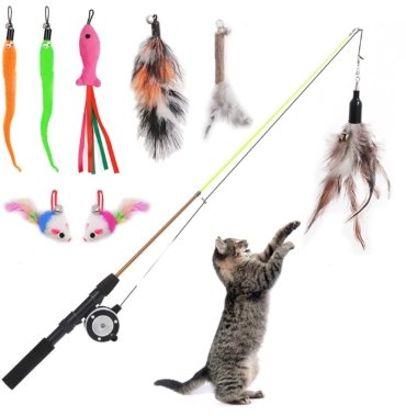 Cat Toys: Interactive Toys for Cats & Kittens