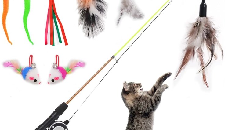 Cat Toys: Interactive Toys for Cats & Kittens